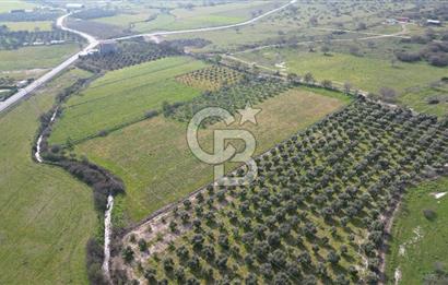 ALİAĞA ÇITAK'TA CB İYA'DAN SATILIK TARLA