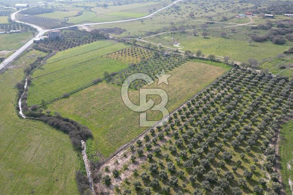 ALİAĞA ÇITAK'TA CB İYA'DAN SATILIK TARLA