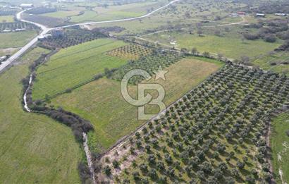 ALİAĞA ÇITAK'TA CB İYA'DAN SATILIK TARLA