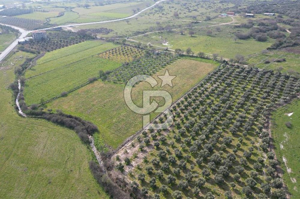 ALİAĞA ÇITAK'TA CB İYA'DAN SATILIK TARLA