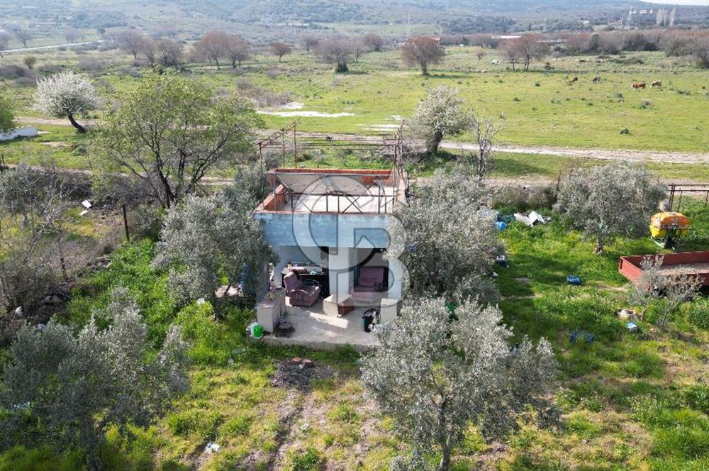 ALİAĞA ÇITAK'TA CB İYA'DAN SATILIK TARLA