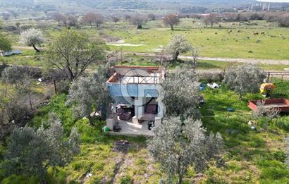 ALİAĞA ÇITAK'TA CB İYA'DAN SATILIK TARLA