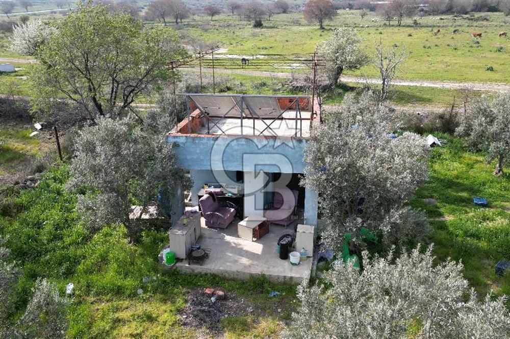 ALİAĞA ÇITAK'TA CB İYA'DAN SATILIK TARLA