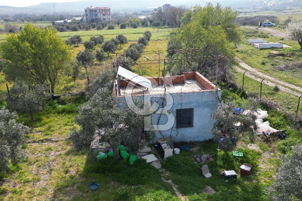 ALİAĞA ÇITAK'TA CB İYA'DAN SATILIK TARLA