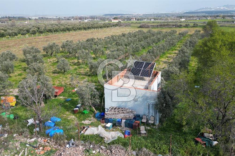 ALİAĞA ÇITAK'TA CB İYA'DAN SATILIK TARLA