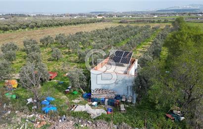 ALİAĞA ÇITAK'TA CB İYA'DAN SATILIK TARLA