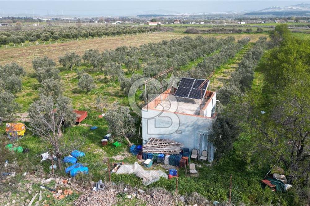 ALİAĞA ÇITAK'TA CB İYA'DAN SATILIK TARLA