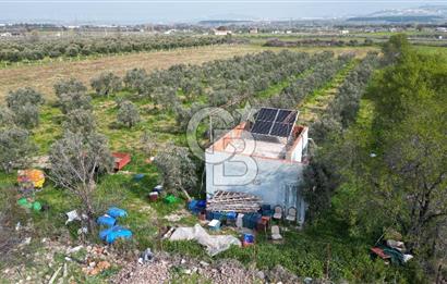 ALİAĞA ÇITAK'TA CB İYA'DAN SATILIK TARLA