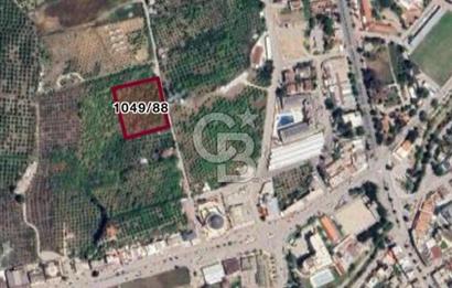 ANTALYA KEMER'DE 1000M2'LİK HİSSELİ SATILIK BAHÇE