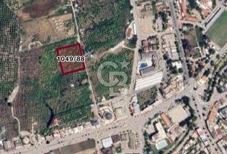 ANTALYA KEMER'DE 1000M2'LİK HİSSELİ SATILIK BAHÇE - 3 - 339435