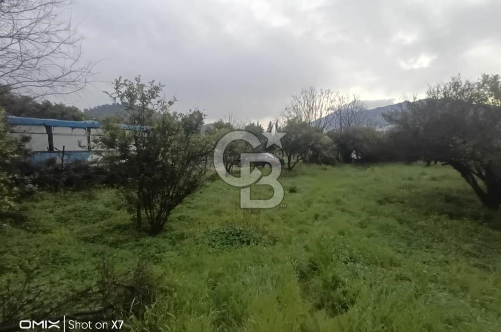 ANTALYA KEMER'DE 1000M2'LİK HİSSELİ SATILIK BAHÇE