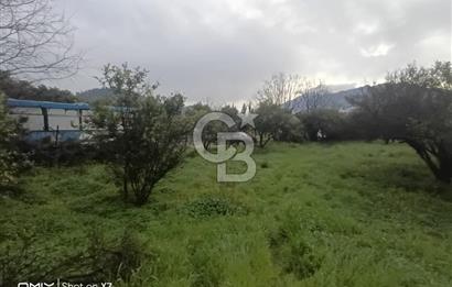 ANTALYA KEMER'DE 1000M2'LİK HİSSELİ SATILIK BAHÇE