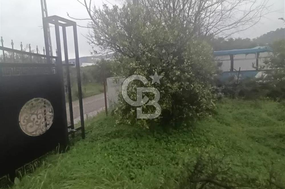 ANTALYA KEMER'DE 1000M2'LİK HİSSELİ SATILIK BAHÇE