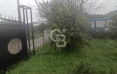 ANTALYA KEMER'DE 1000M2'LİK HİSSELİ SATILIK BAHÇE