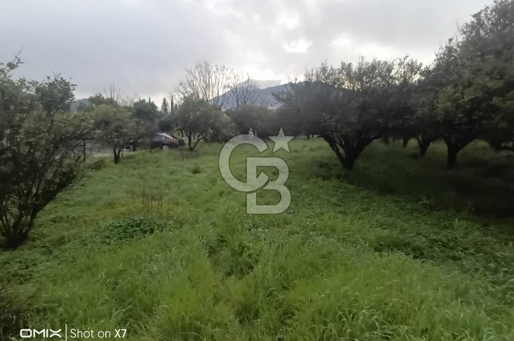 ANTALYA KEMER'DE 1000M2'LİK HİSSELİ SATILIK BAHÇE