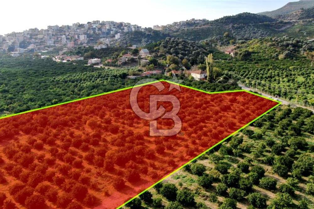 GÜMÜLDÜR'DE SATILIK BAHÇE