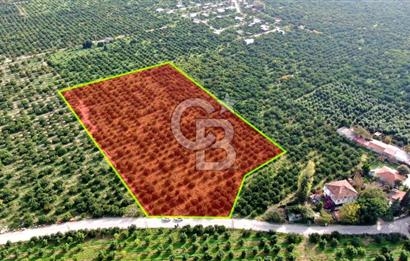 GÜMÜLDÜR'DE SATILIK BAHÇE