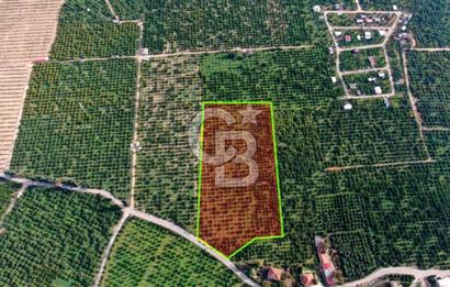 GÜMÜLDÜR'DE SATILIK BAHÇE