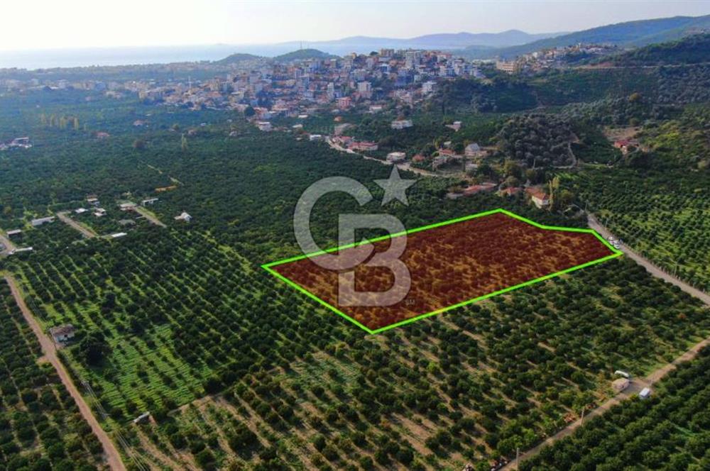 GÜMÜLDÜR'DE SATILIK BAHÇE