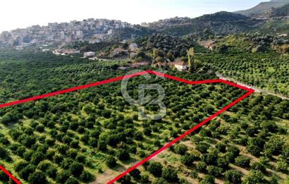 GÜMÜLDÜR'DE SATILIK BAHÇE