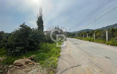 GÜMÜLDÜR'DE SATILIK BAHÇE