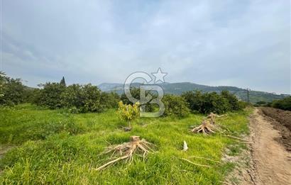 GÜMÜLDÜR'DE SATILIK BAHÇE