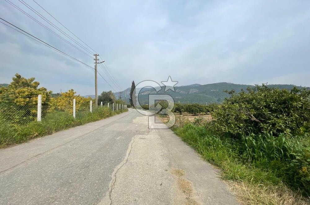 GÜMÜLDÜR'DE SATILIK BAHÇE