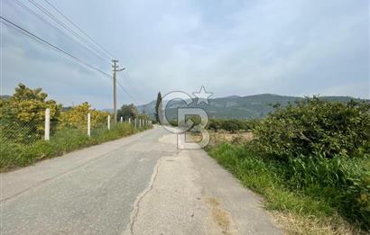 GÜMÜLDÜR'DE SATILIK BAHÇE