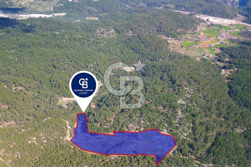 Muğla Ula Gölcük’te Satilik Tarla