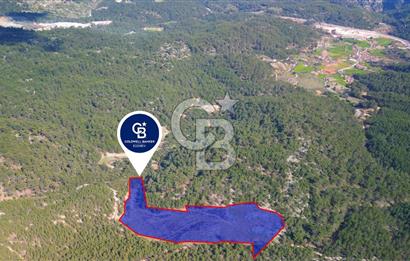 Muğla Ula Gölcük’te Satilik Tarla