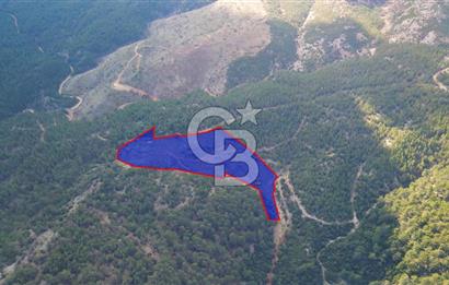 Muğla Ula Gölcük’te Satilik Tarla