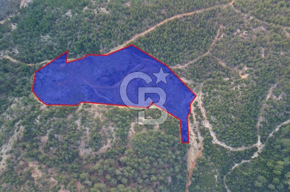 Muğla Ula Gölcük’te Satilik Tarla