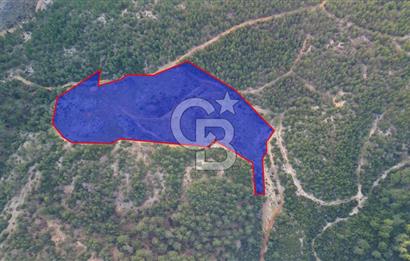 Muğla Ula Gölcük’te Satilik Tarla