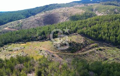 Muğla Ula Gölcük’te Satilik Tarla