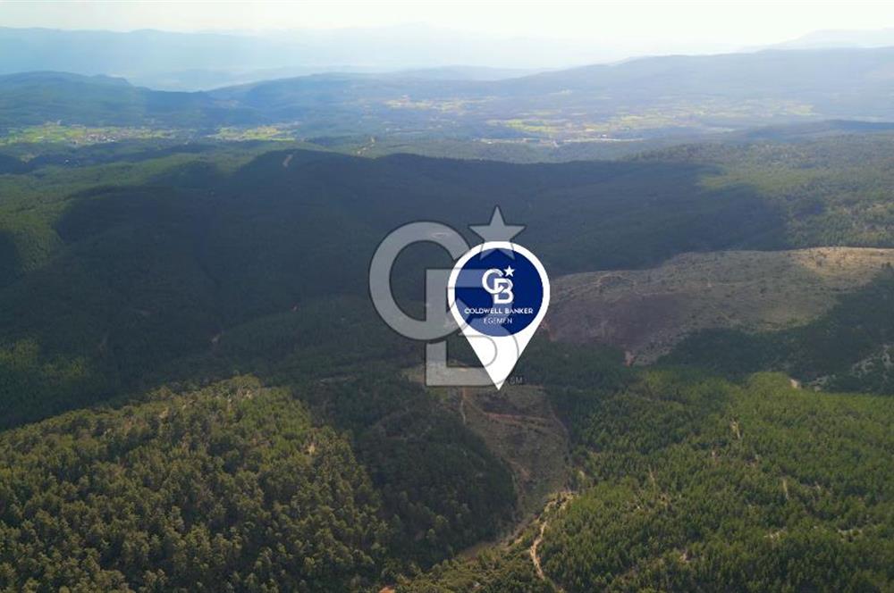 Muğla Ula Gölcük’te Satilik Tarla