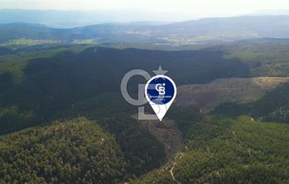 Muğla Ula Gölcük’te Satilik Tarla