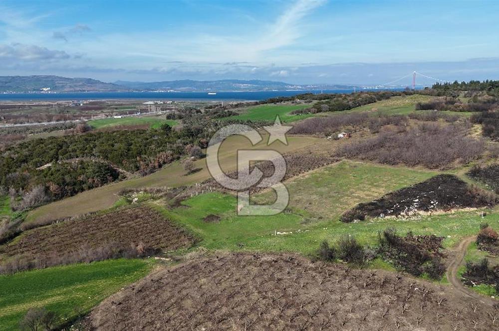 ÇANAKKALE LAPSEKİ UMURBEY DE BOĞAZ MANZARALI YATIRIMLIK SATILIK TARLA