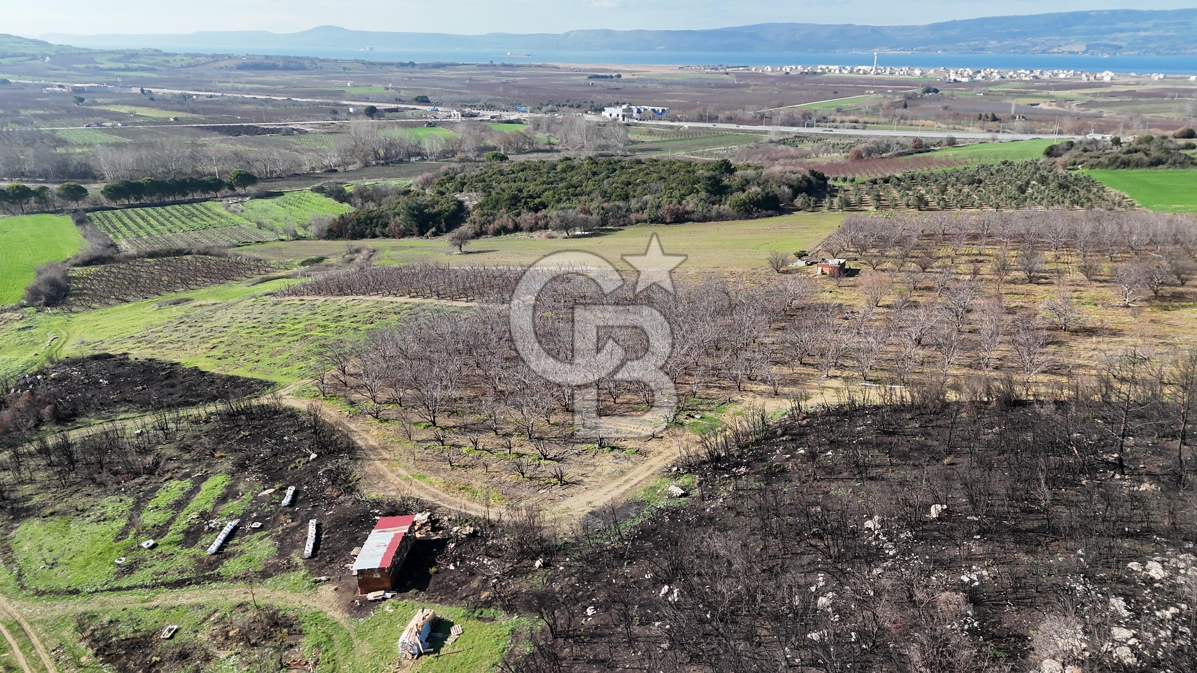 ÇANAKKALE LAPSEKİ UMURBEY DE BOĞAZ MANZARALI YATIRIMLIK SATILIK TARLA