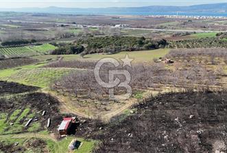 ÇANAKKALE LAPSEKİ UMURBEY DE BOĞAZ MANZARALI YATIRIMLIK SATILIK TARLA - 1 - 339495