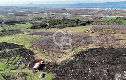 ÇANAKKALE LAPSEKİ UMURBEY DE BOĞAZ MANZARALI YATIRIMLIK SATILIK TARLA