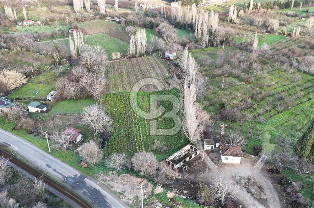 ÇANAKKALE LAPSEKİ UMURBEY DE ANA YOLA CEPHELİ 5.786m2 SATILIK ARAZİ