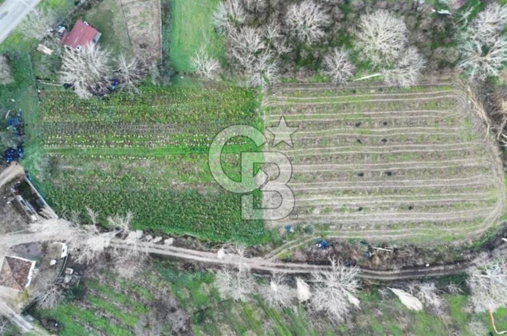 ÇANAKKALE LAPSEKİ UMURBEY DE ANA YOLA CEPHELİ 5.786m2 SATILIK ARAZİ