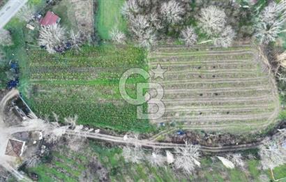 ÇANAKKALE LAPSEKİ UMURBEY DE ANA YOLA CEPHELİ 5.786m2 SATILIK ARAZİ