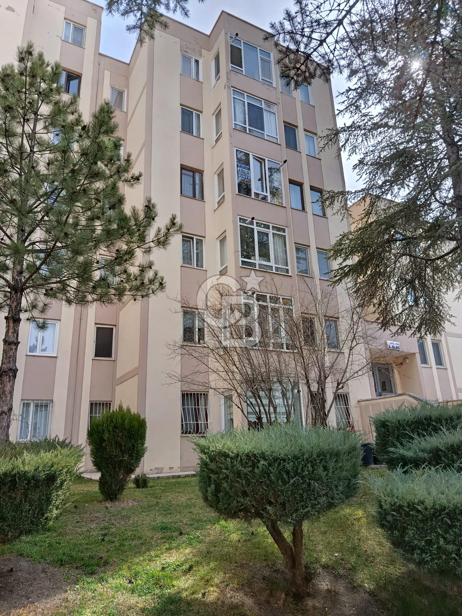 ERYAMANDA KİRALIK 2+1 DAİRE ASANSÖRLÜ YAPILI MUTFAK 