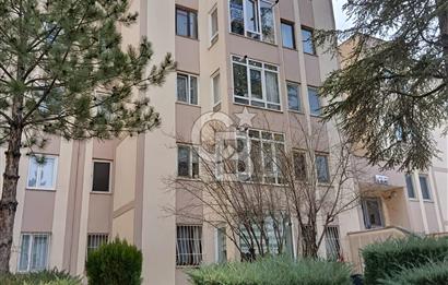 ERYAMANDA KİRALIK 2+1 DAİRE ASANSÖRLÜ YAPILI MUTFAK 