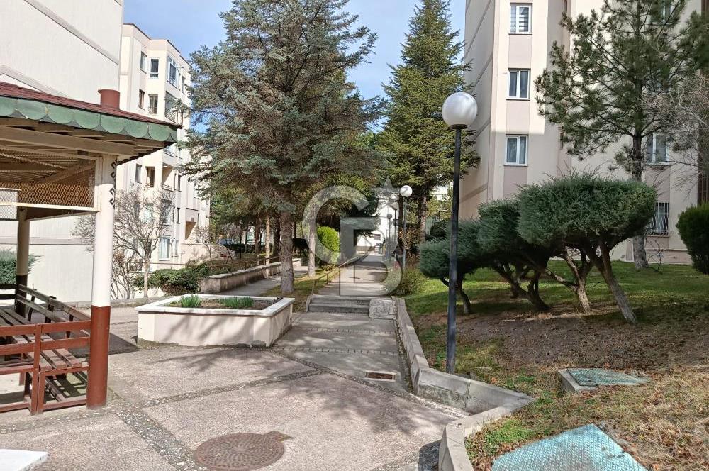 ERYAMANDA KİRALIK 2+1 DAİRE ASANSÖRLÜ YAPILI MUTFAK 