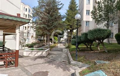 ERYAMANDA KİRALIK 2+1 DAİRE ASANSÖRLÜ YAPILI MUTFAK 