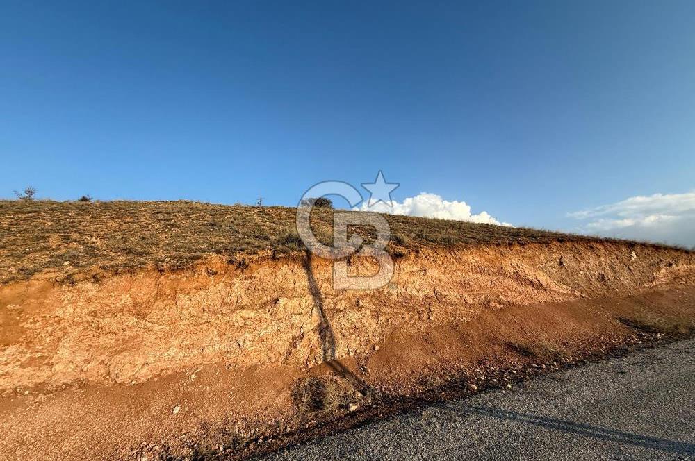 COLDWELL BANKER SAFİR'den MULLAKASIM da 7882 m² SATILIK ARSA