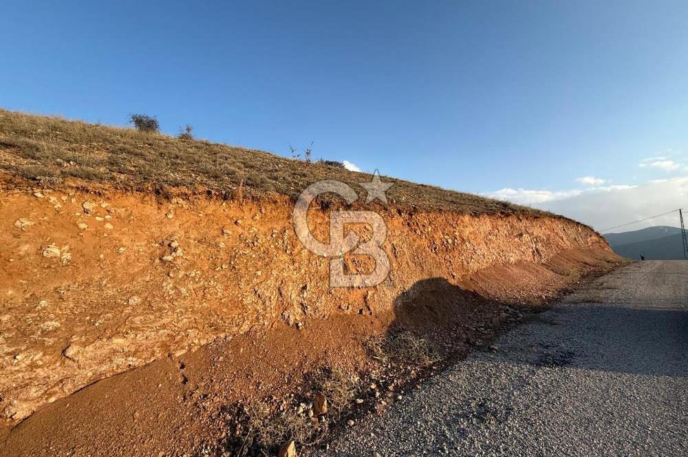 COLDWELL BANKER SAFİR'den MULLAKASIM da 7882 m² SATILIK ARSA