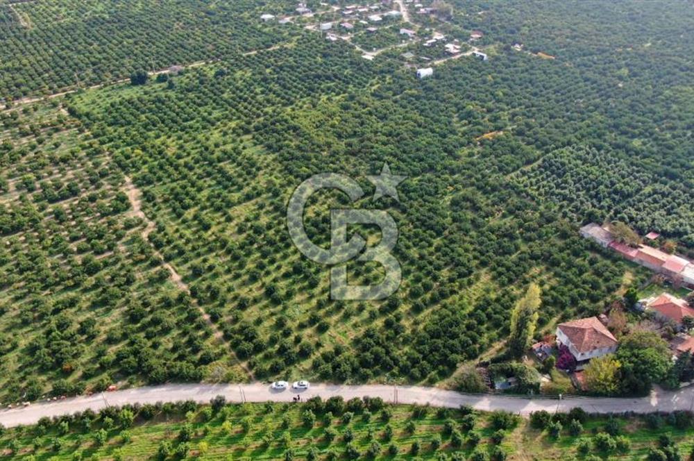 GÜMÜLDÜRDE SATILIK BAHÇE